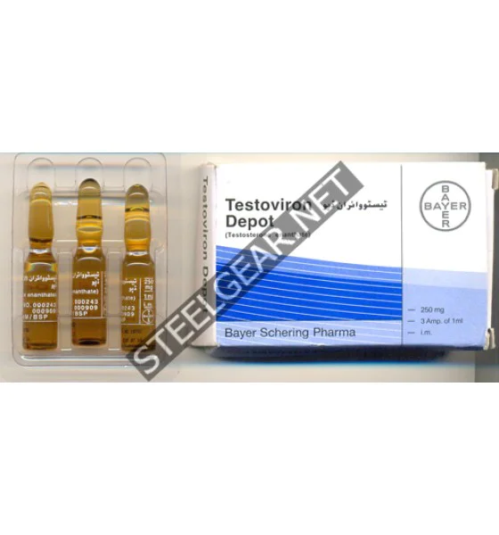 2 Testoviron Depot (Testosterone Enanthate) 1 ml 250 mg Bayer - Image 1