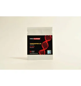 3w TAMOXIFEN 20 mg 100 Tablets Para Pharma - Image 1
