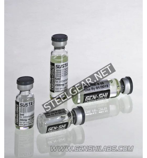 6 Testo P 200 Gen-Shi Labs. - Image 1